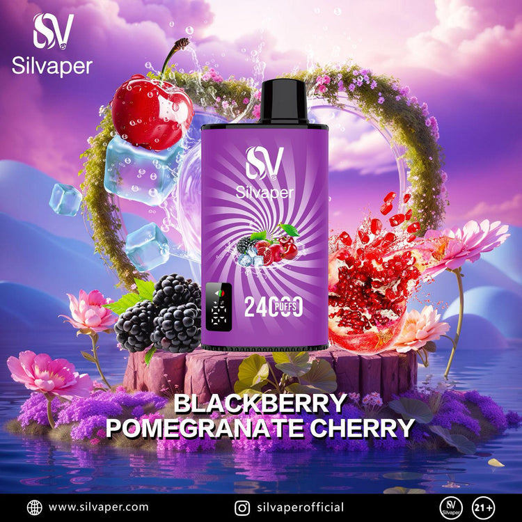 Silvaper 24000 puffs